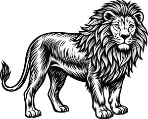 Obraz premium lion illustration vector file,