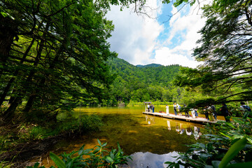上高地 明神池の風景