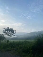 morning in the mountains