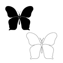 Butterfly set Icon Symbol isolated white background. vector illustration. color editable.

