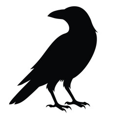 Vector Crow Silhouette Design Black Bird Illustrations.
