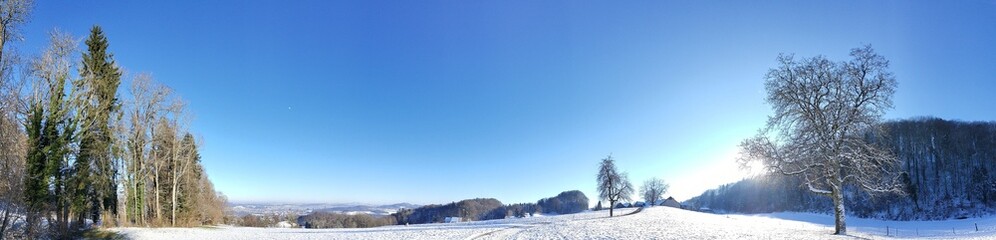 Panoramic view of snow landscape