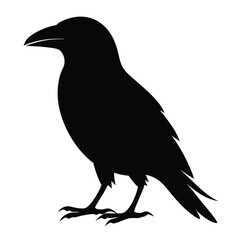 Vector Crow Silhouette Design Black Bird Illustrations.
