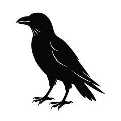 Vector Crow Silhouette Design Black Bird Illustrations.
