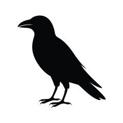Fototapeta premium Vector Crow Silhouette Design Black Bird Illustrations. 