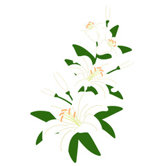 white illy corner branch illustration
