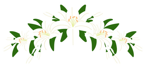 white illy half round wreath illustration