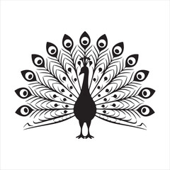 Fototapeta premium Elegant Peacock Silhouette Feathers Unfurled in Black and White
