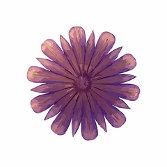 flower isolated on white. Flowers with multicolored petals. Vector illustration. Multiple petals gerbera flower isolated on white .grainy floral design, carpet and textile industrial design.