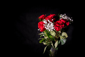 Roses in Vase with Softly Lit Black Background