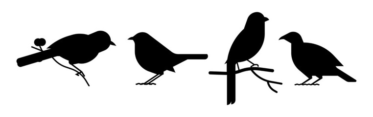 perching bird silhouette