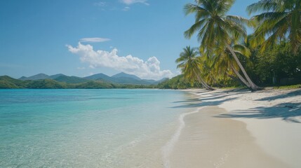 A tranquil beach scene with crystal clear waters, white sand, and palm trees swaying in the breeze.