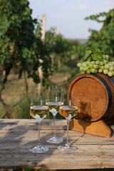 Tasty wine in glasses, grapes and barrel on wooden table outdoors