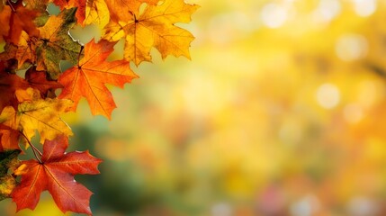 Autumn leaves background with copy space 