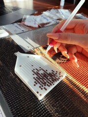 creating a picture with crystals