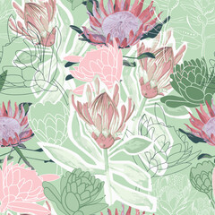 South Africa National flowers the protea