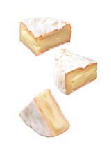 Piece of Camembert Brie soft cheese isolated without background