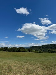 Sunflower field with bright blue sky and mountains in the background.