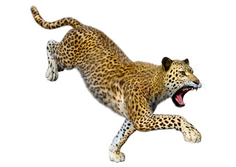 3D Rendering Big Cat Leopard on White