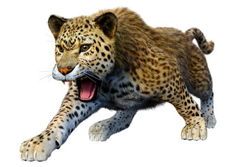 3D Rendering Big Cat Leopard on White