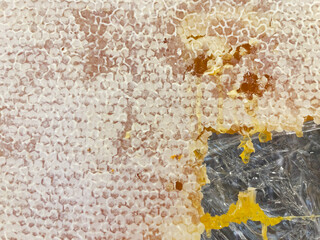 Honeycombs on a wooden frame. Sweet honey. Horizontal orientation. Selective focus