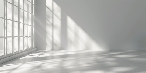 A minimalistic room with sunlight streaming through