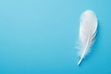 Obraz premium A single delicate white feather rests on a plain blue background, evoking a sense of lightness, purity, and simplicity in a serene and minimalist setting.