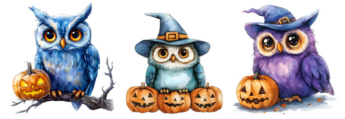 Fototapeta premium Three whimsical owls in witch hats surrounded by Halloween pumpkins.