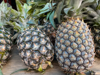 Fresh pineapple fruit with blur background.