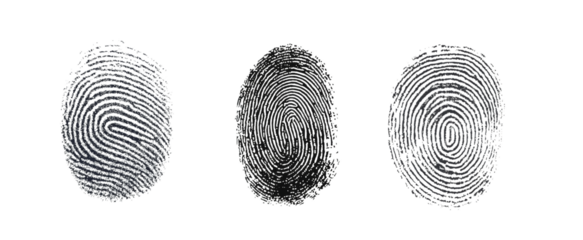 Three different fingerprints are shown, each with a different pattern on white background