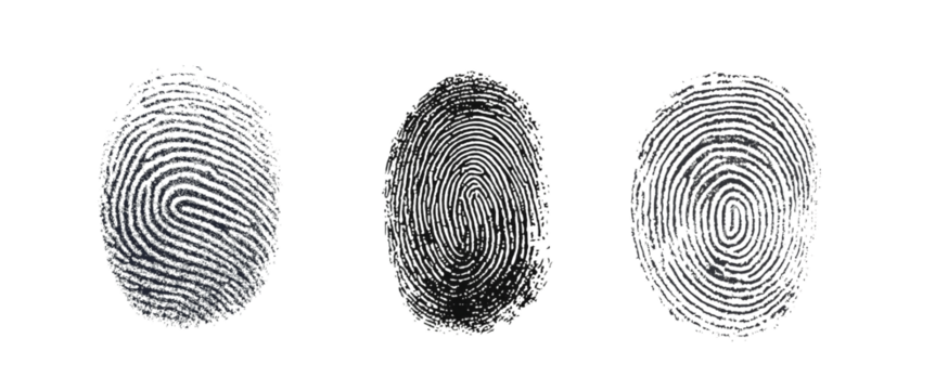 Three different fingerprints are shown, each with a different pattern on white background