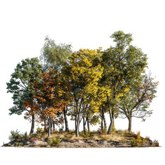 A vibrant collection of diverse trees showcasing autumn colors on a small hill.