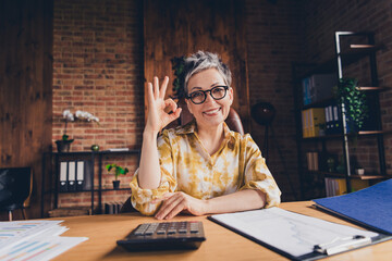 Photo of lovely nice successful woman economist doing report nice job okey sign indoors workstation...