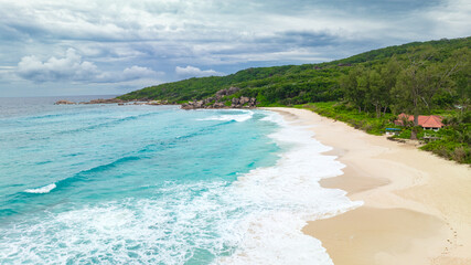 beach with trees