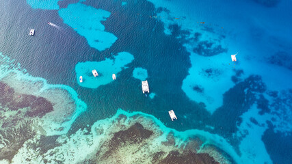coral reef with fish