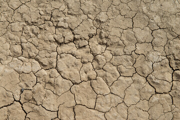 close up of cracked desert ground texture
