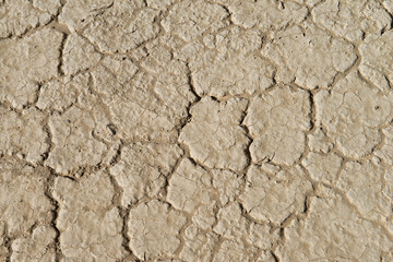 close up of cracked desert ground texture