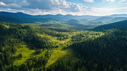 Fototapeta premium A vibrant aerial view of a green forest with rolling hills and towering mountains beyond, showcasing the natural beauty of the landscape.