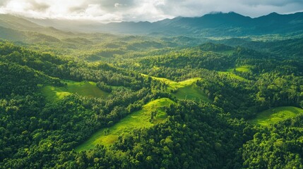 Obraz premium A vibrant aerial view of a green forest with rolling hills and towering mountains beyond, showcasing the natural beauty of the landscape.