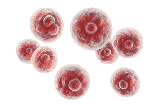 Depiction of disease replicating and reproducing isolated on white or transparent background