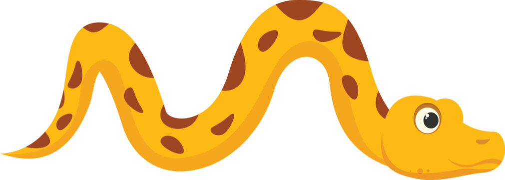 Yellow python snake is slithering across a white background