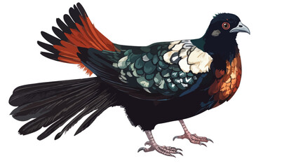 Fototapeta premium Bird Black-billed Capercaillie Stock Vector Illustration isolated on white background