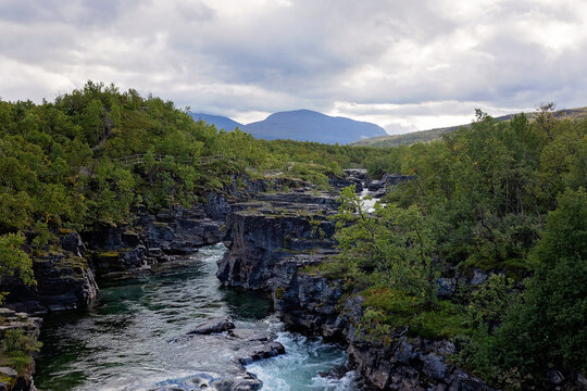 Family with kids and dog, hiking the Abisko National Park near Kiruna on a summer day
