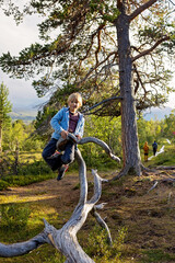 Fototapeta premium Family with kids and dog, hiking the Abisko National Park near Kiruna on a summer day