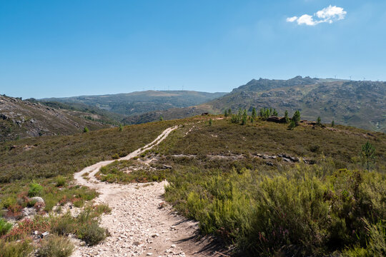 Montanha coberta por vegeta&ccedil;&atilde;o e pequenos arbustos com um caminho de terra batida na Serra do Ger&ecirc;s em Portugal