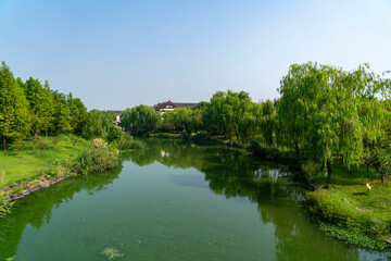 Natural Scenery of Urban Wetland Park, Shaoxing, Zhejiang, China