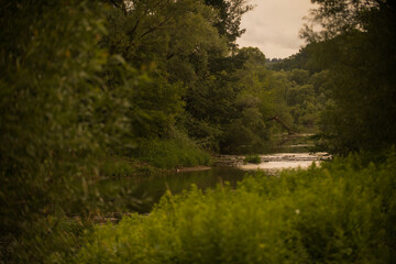 reflection of trees in the water