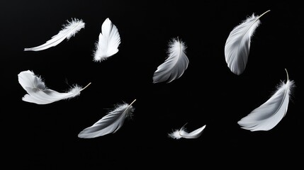 White feathers suspended in mid-air on a black background, symbolizing grace, lightness, and elegance