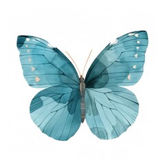 Butterfly illustration watercolor drawing isolated on white background.