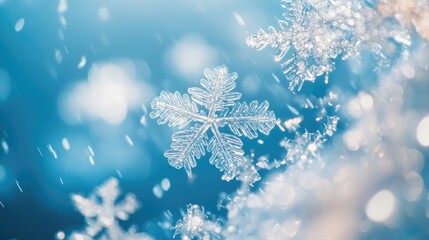 Snowflakes gently falling on a soft blue background, their delicate patterns highlighted by the cool hues
